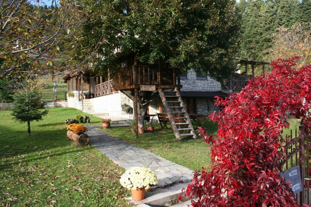 Villa Filokosta Pertouli ภายนอก รูปภาพ